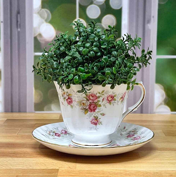 Sandra Teacup Planter