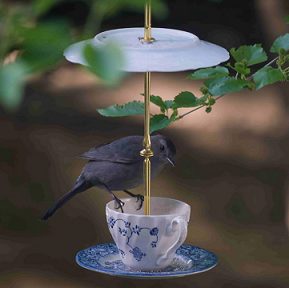 Aesop Teacup Bird Feeder