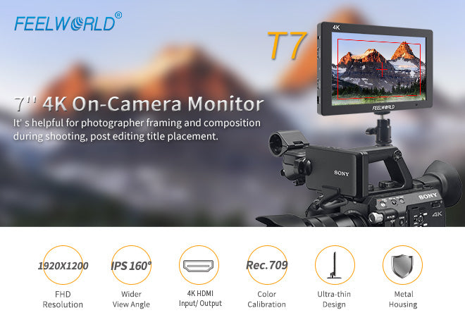 camera field monitor