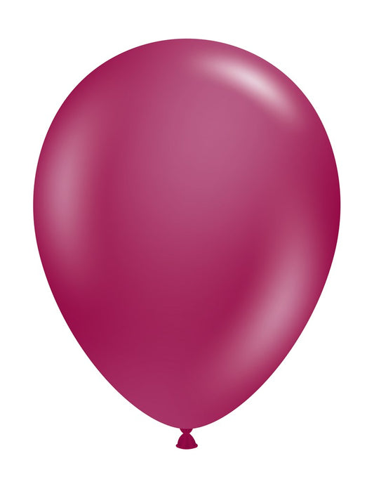 twin air sizer II balloon inflator #tasII premium balloon accessories