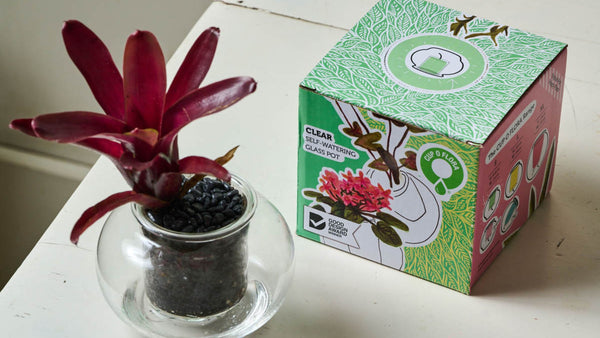 CUP O FLORA cardboard packaging and self-watering pot