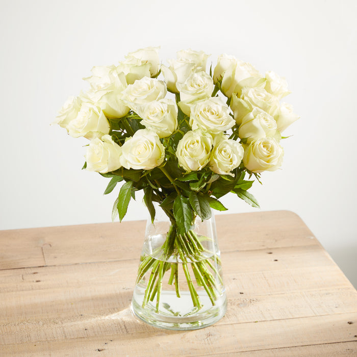 24 Fairtrade White Roses