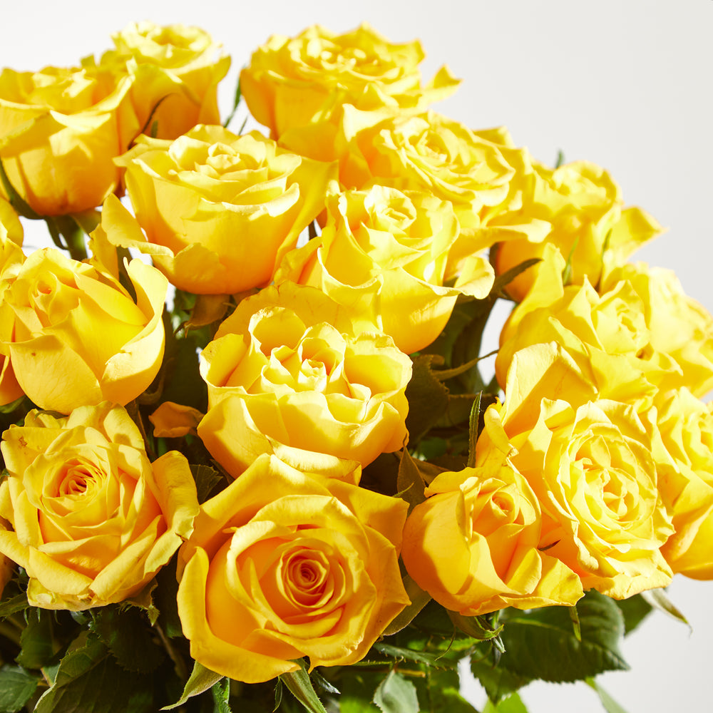 24 Fairtrade Yellow Roses