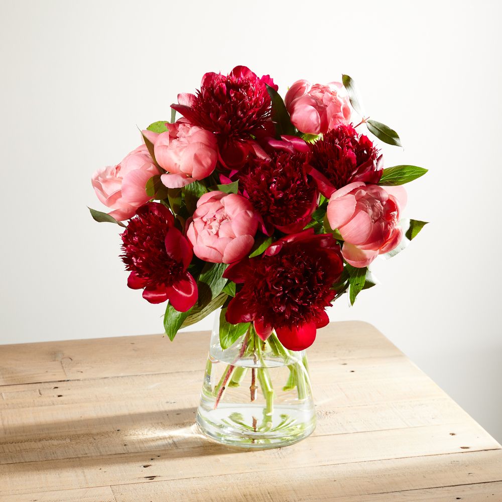 Mixed Peonies