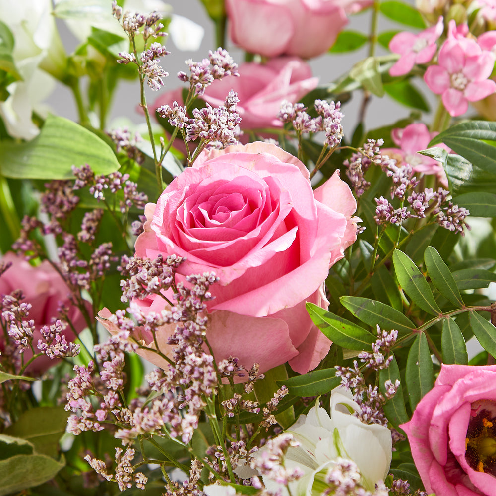 Babys Breath Hot Pink Flowers, Baby Breath Flowers