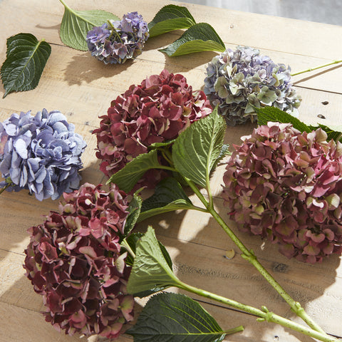 A few stems of burgundy and lilac hydrangeas artfully scattered across and wooden table.