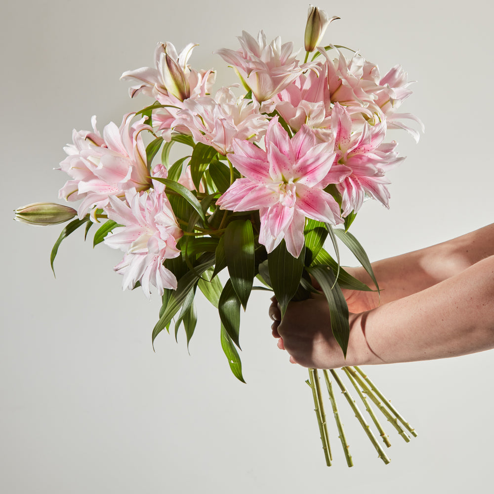 Scented Double Lilies