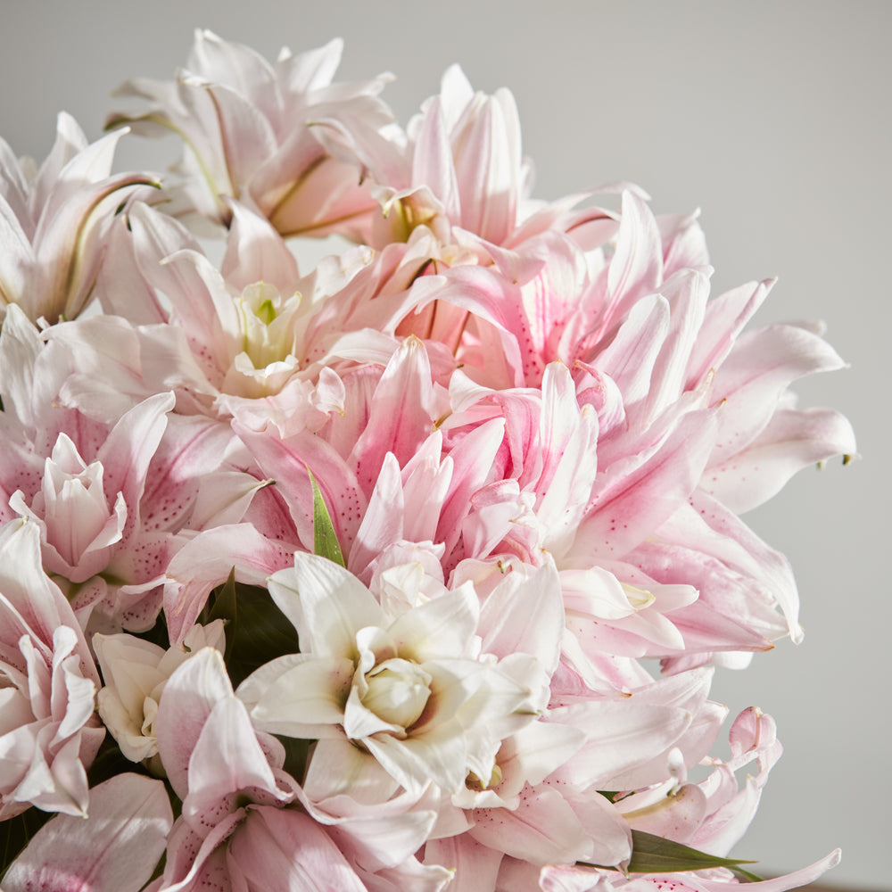 Scented Double Lilies