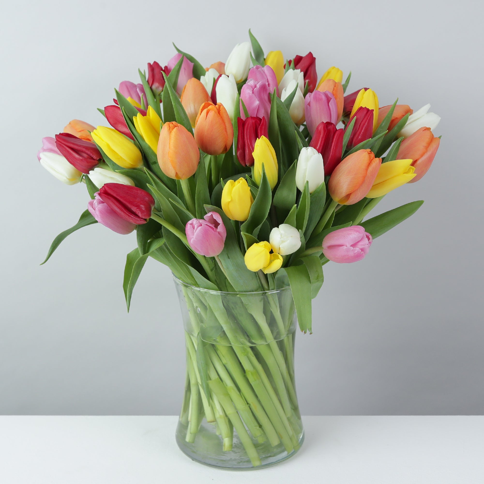 Organic Mixed Tulips