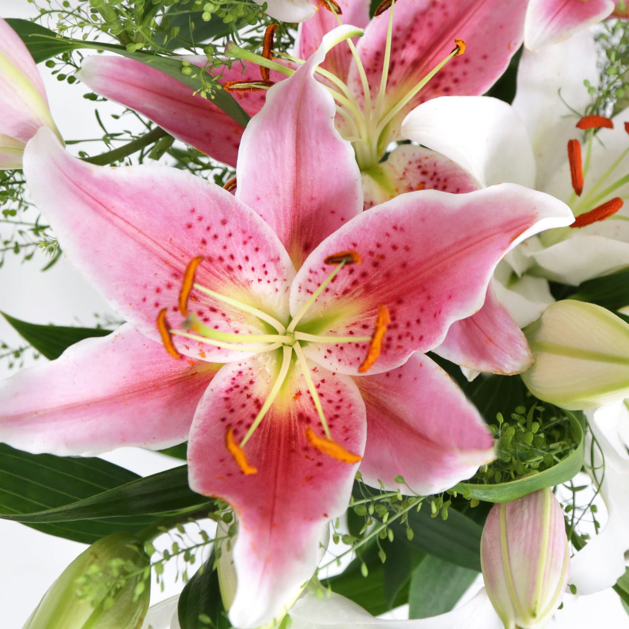 Mixed Oriental Lilies From Arena Flowers UK's No.1 Ethical Florist