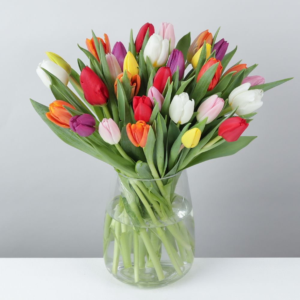30 Mixed Tulips