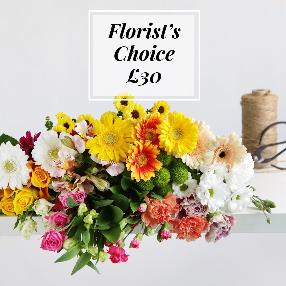 Florist's Choice