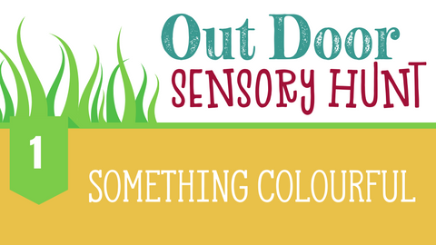 Outdoor Sensory Hunt Ideas 1