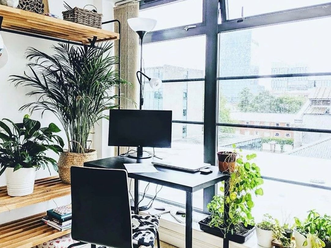 working from home biophillic office inspiration