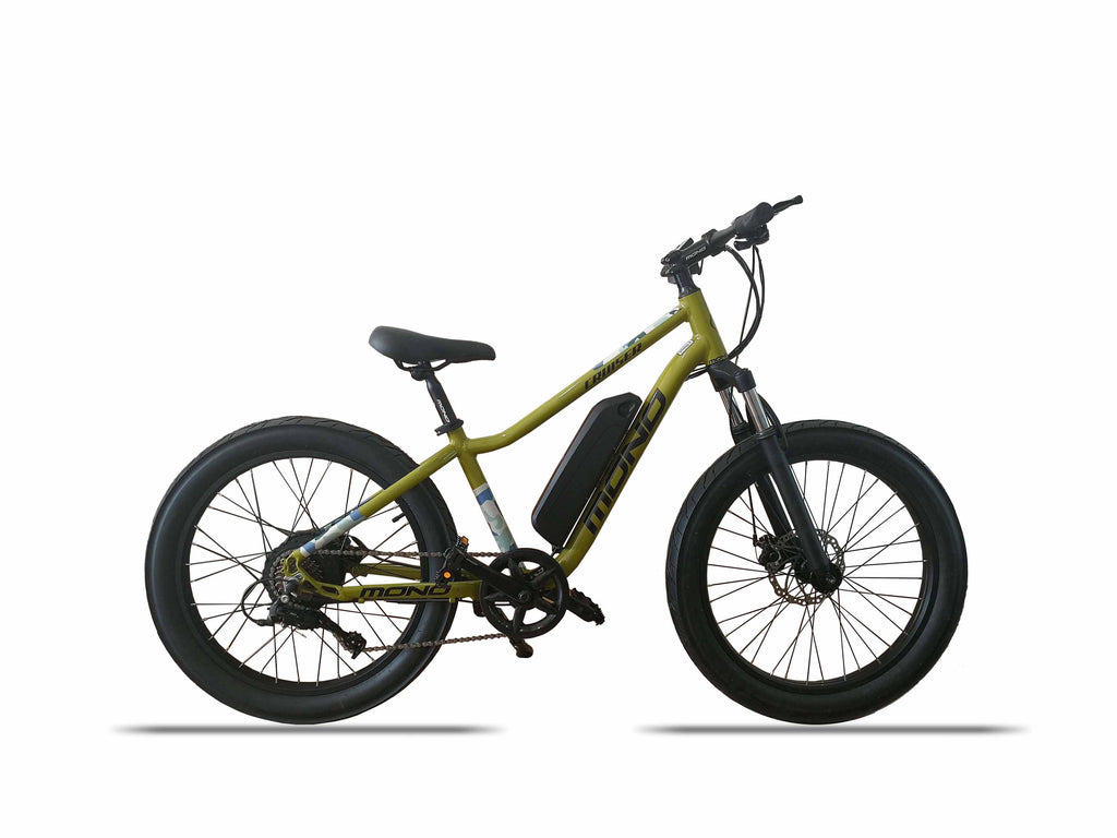 mono cruiser ebike