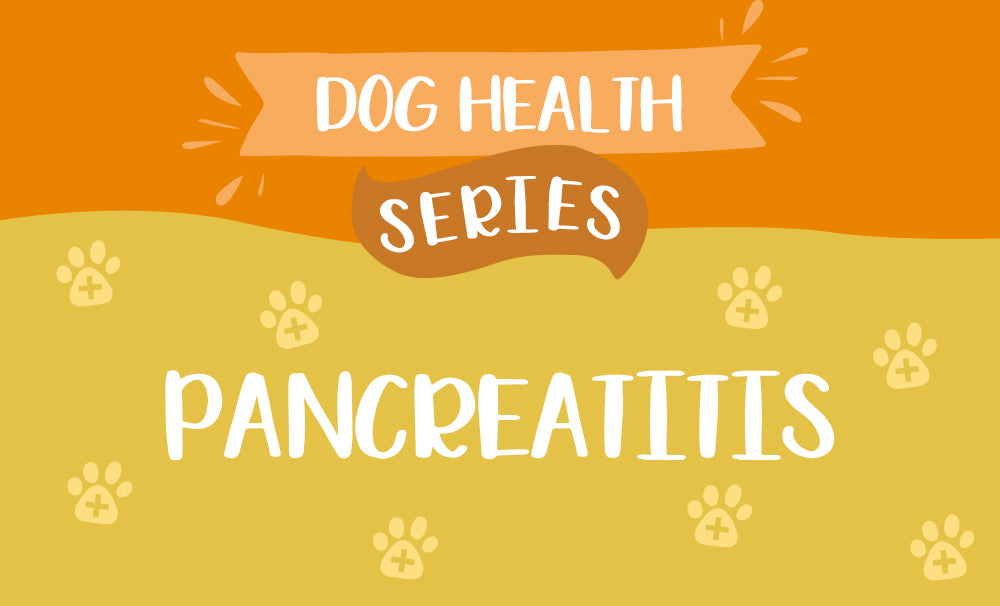 how can you tell if your dog has pancreatitis