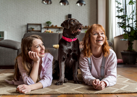 Young dog sitting between its owners looking happy and healthy