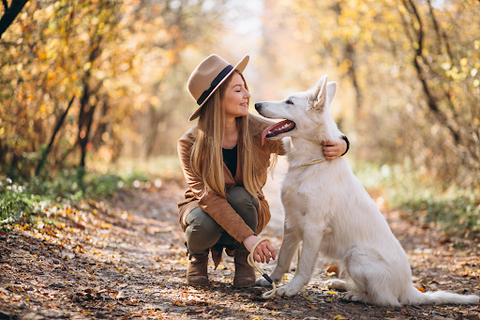 Dog owner with white dog on an autumn walk
