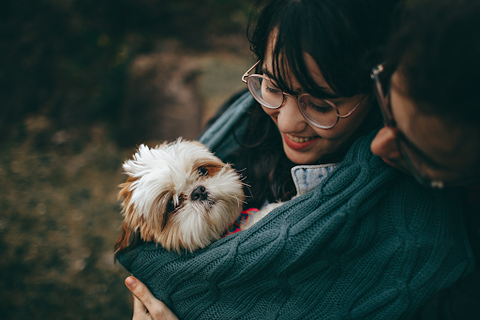 Small dog being held by smiling owners and wrapped in a scarf