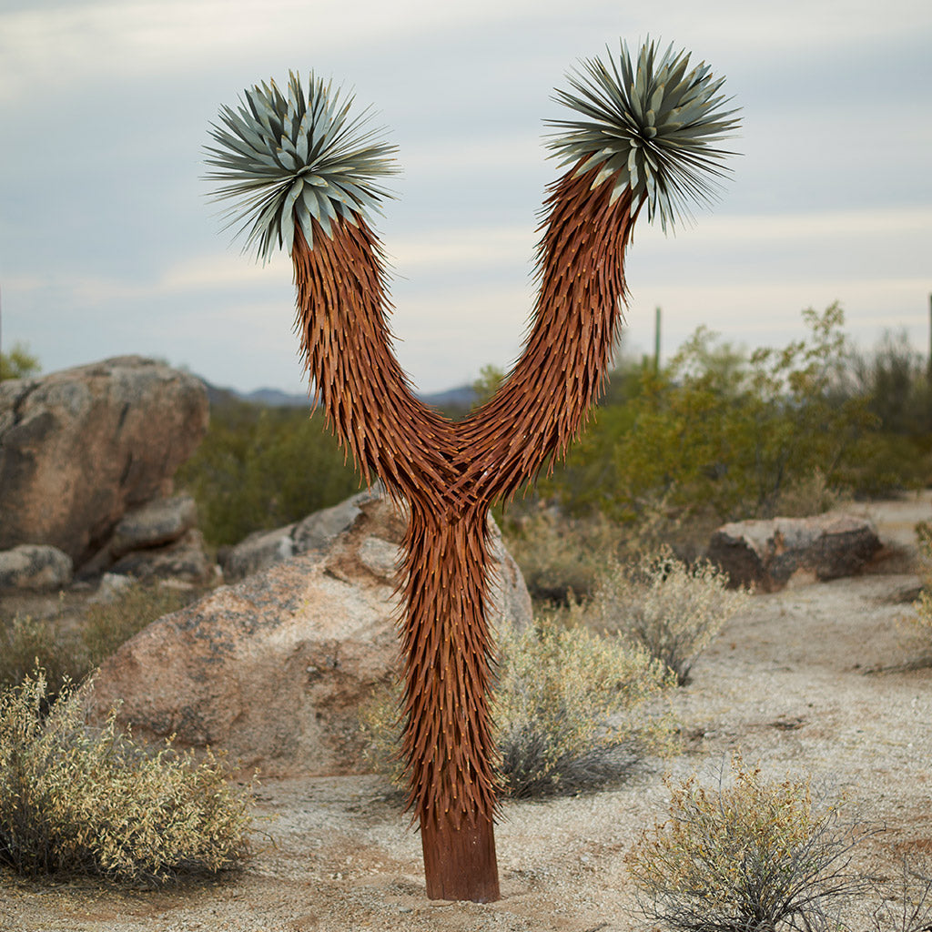 where are dogs allowed in joshua tree