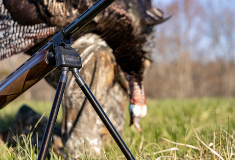 Swagger Bipod with harvested turkey