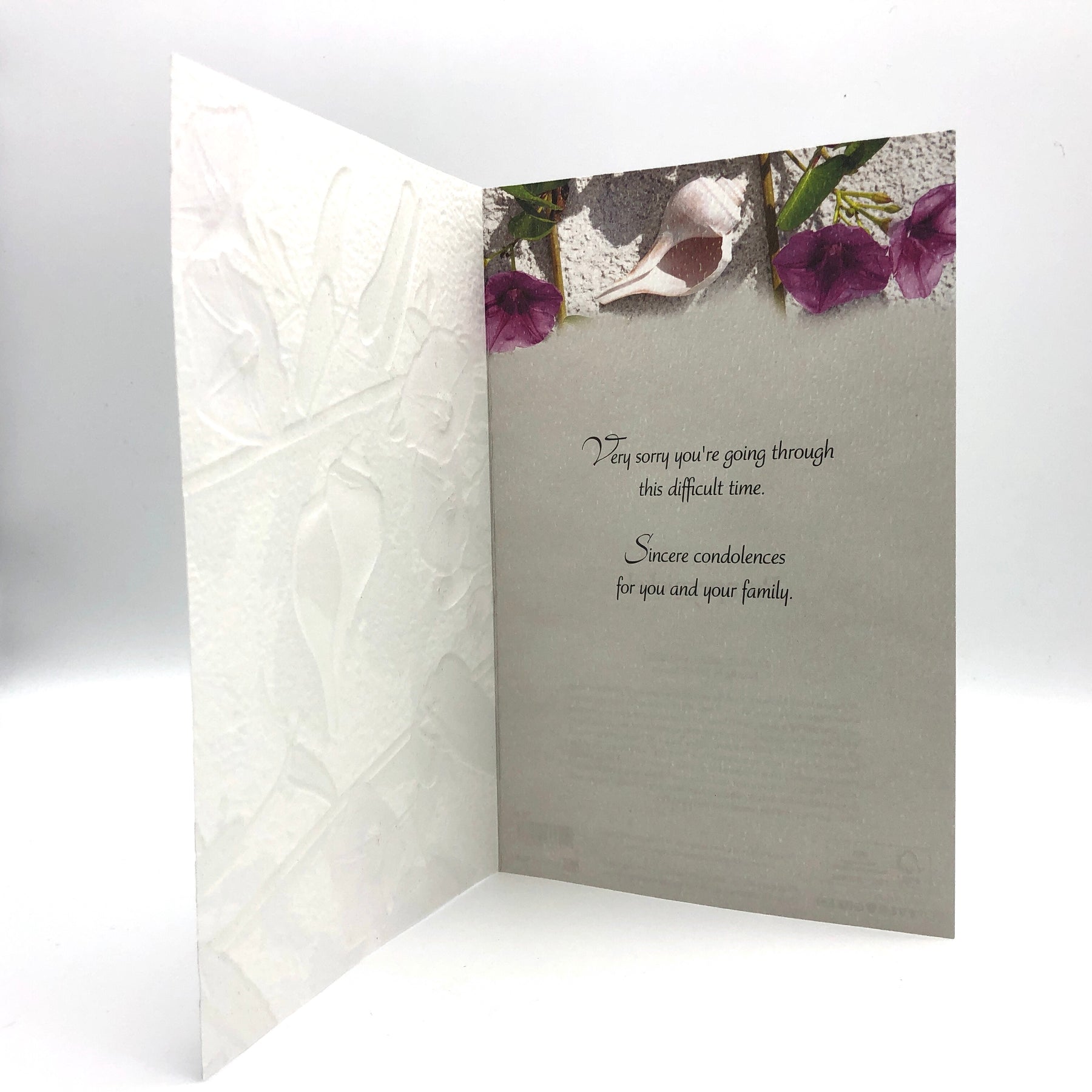 Greeting Card Sympathy Dune Flower And Shell Shore And More