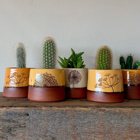 dipped cactus pot