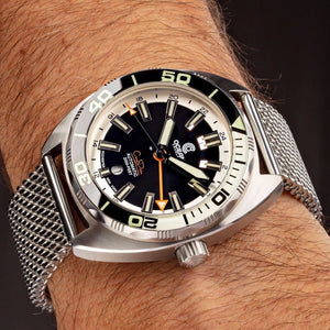 gmt diver