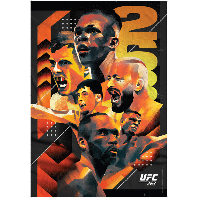 Ufc 263 Artist Series Poster Ufc Store