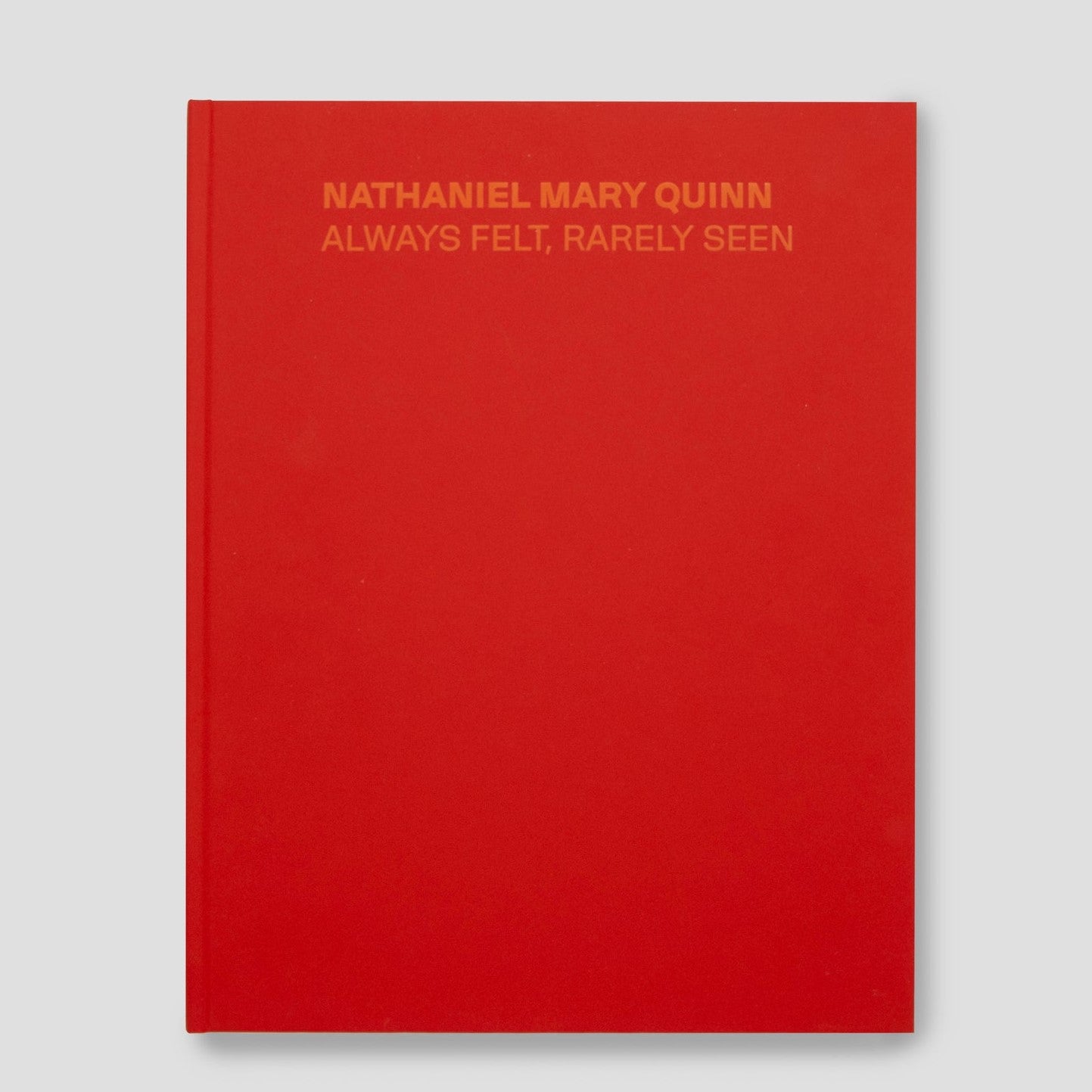 Nathaniel Mary Quinn Always Felt, Rarely Seen