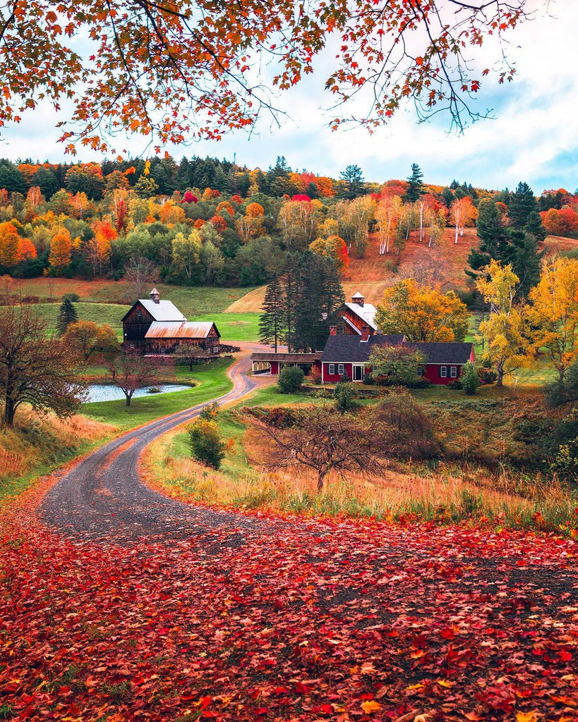 Perfect Autumn Season Around The World – Travel & Wander