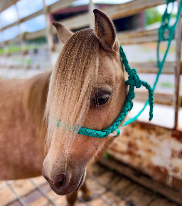 Pony Braided Lariat Halters