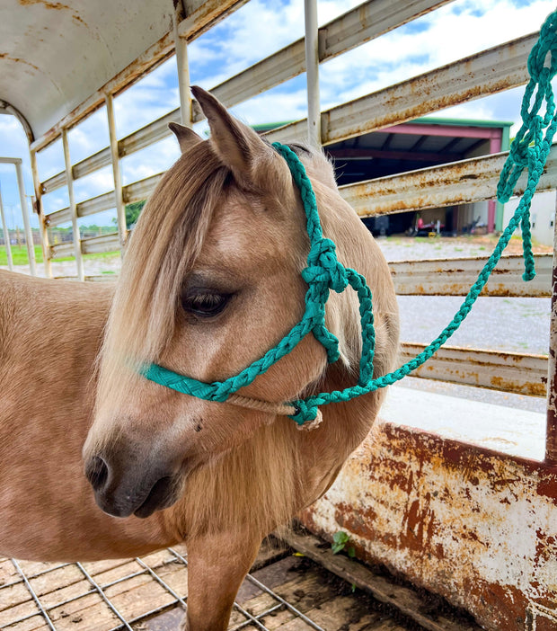 Pony Braided Lariat Halters