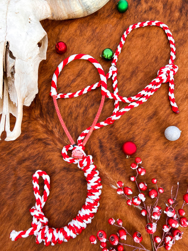 Peppermint Lariat Halter