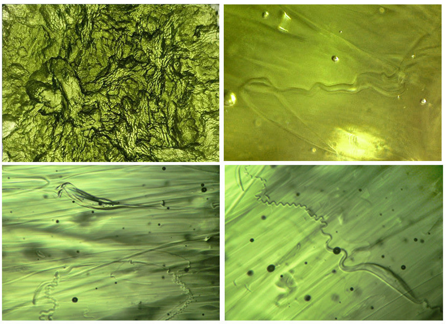 Microscope Moldavite: Bubbles and inclusions in natural moldavite