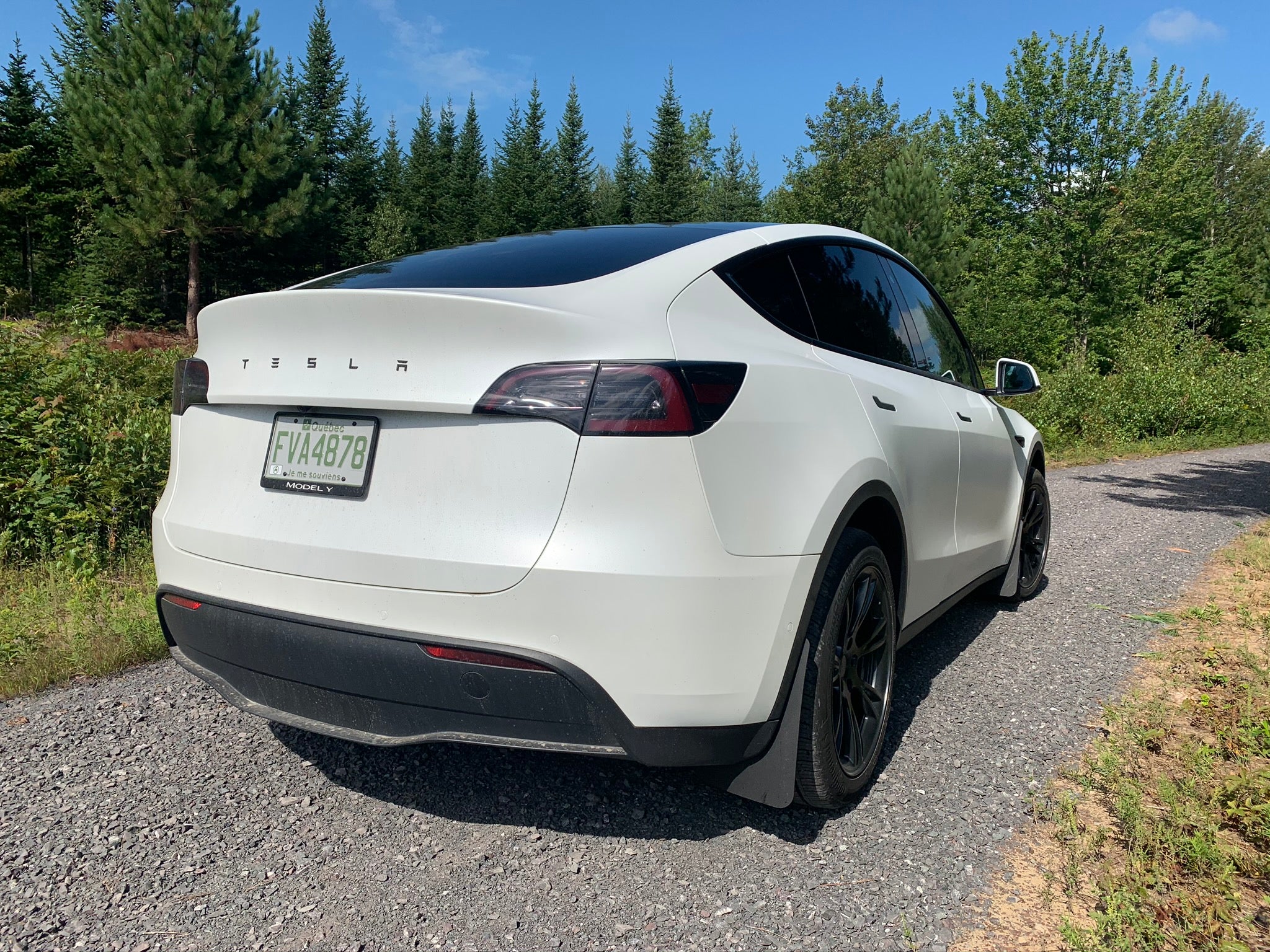 ev mud flaps model y