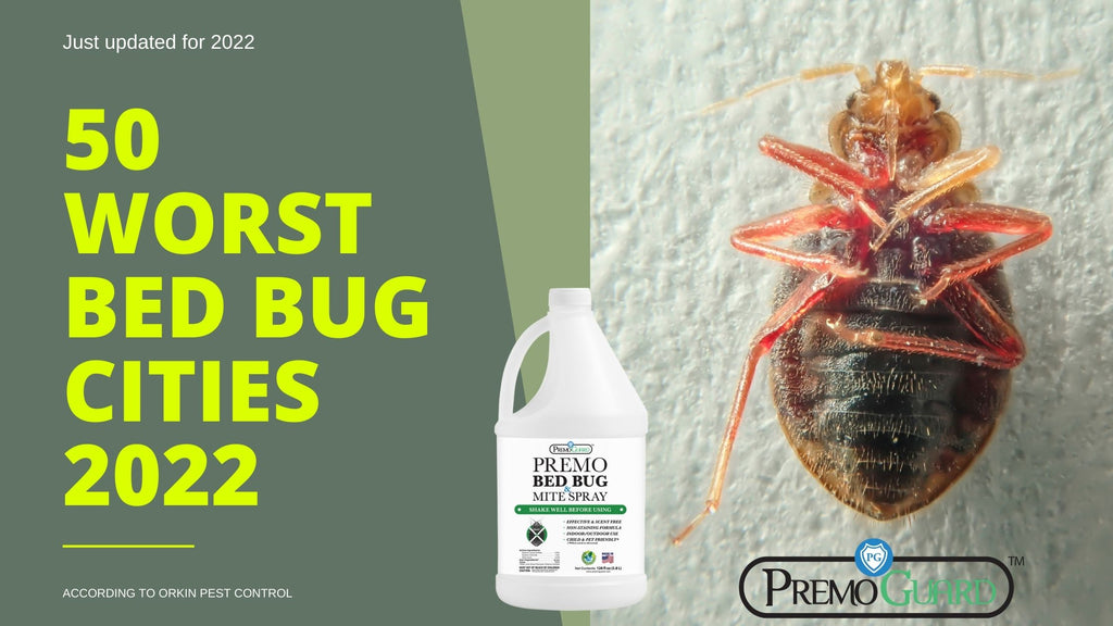 50 Worst Bed Bug Cities 2022 Premo Guard Bed Bugs Spray Premo Natural Products 5813