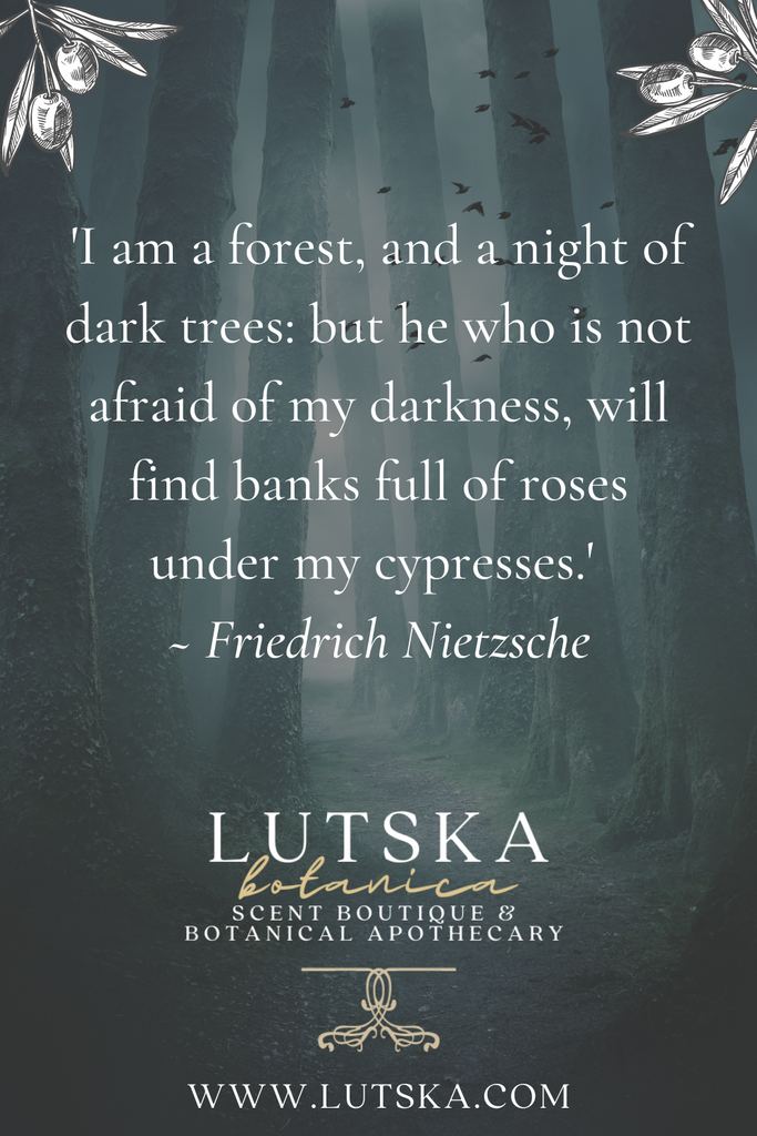 'I am a forest, and a night of dark trees: but he who is not afraid of my darkness, will find banks full of roses under my cypresses.' ~ Friedrich Nietzsche 