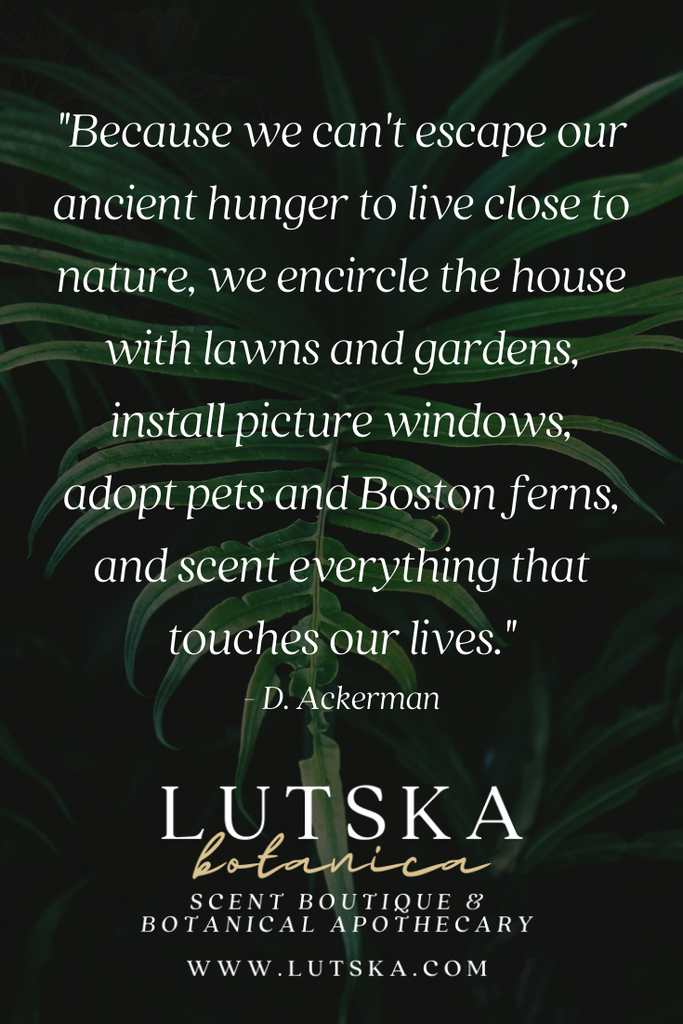 lutska botanica 