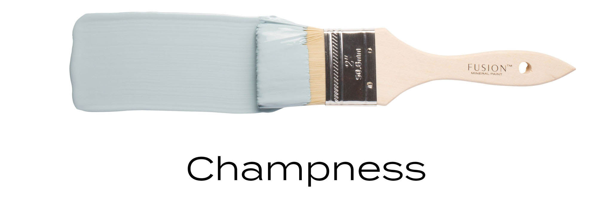 Champness fusion mineral paint example of light blue on paint brush