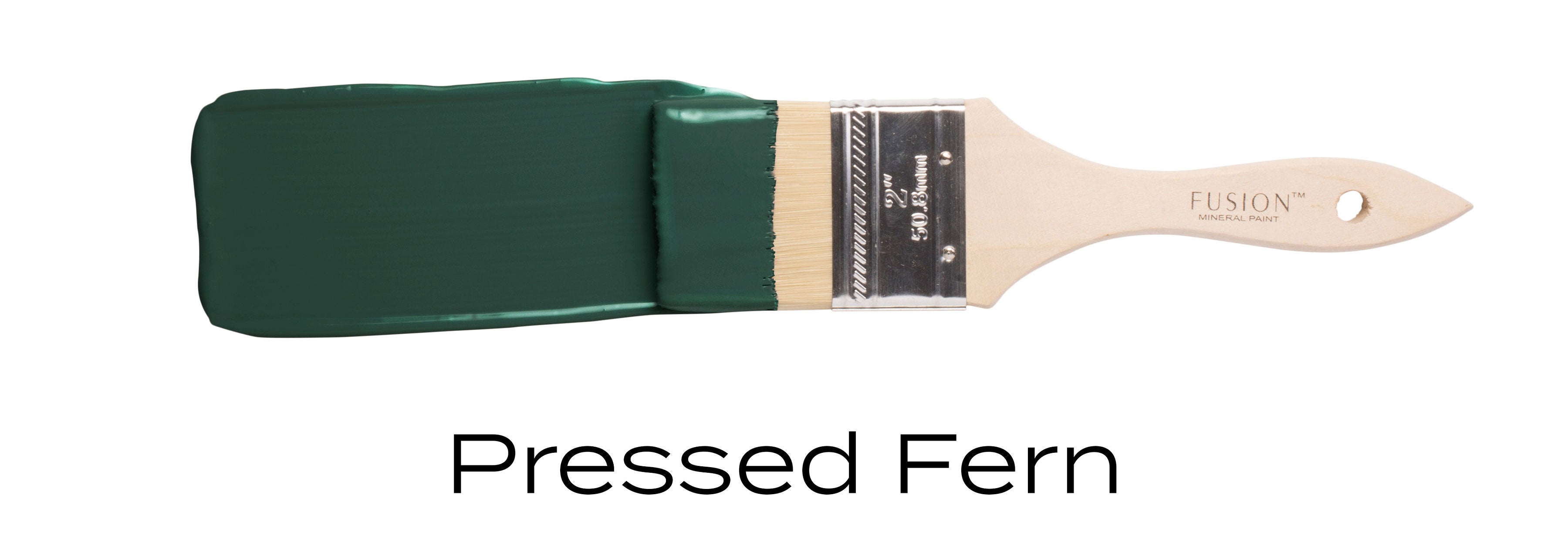 pressed fern dark green colour example on a brush stroke of fusion mineral paint vintage frog uk stockist.jpg