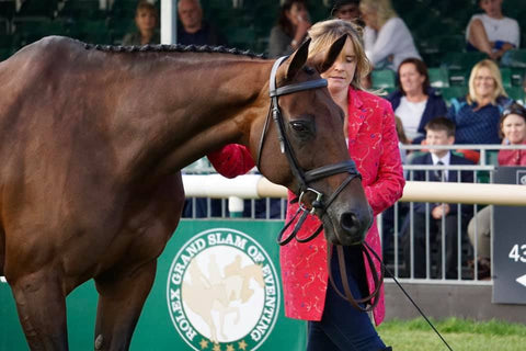 piggy french burghley horse trials trot up shibumi jacket