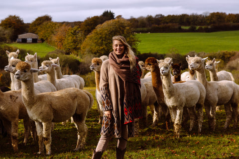 alpaca scarf, alpaca wool shawl, ethical clothing uk