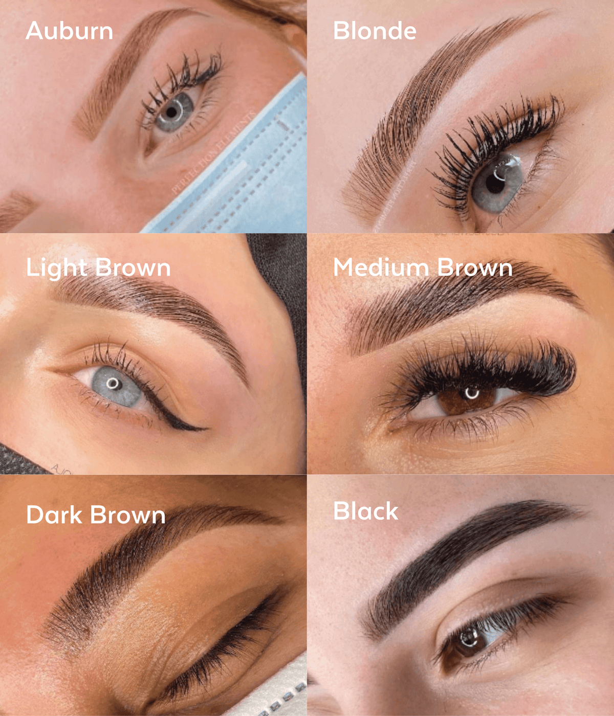 Brow Henna Starter Kit Supercilium