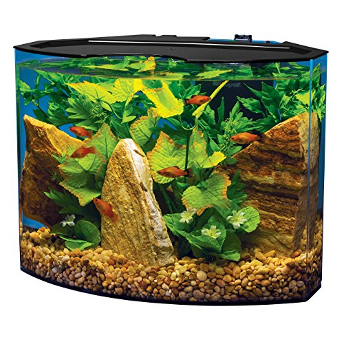 tetra aquarium kit