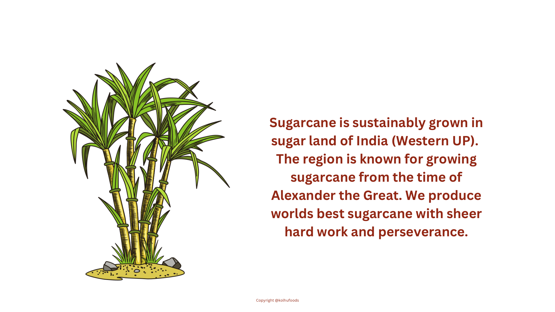 Khandsari Sugar Process