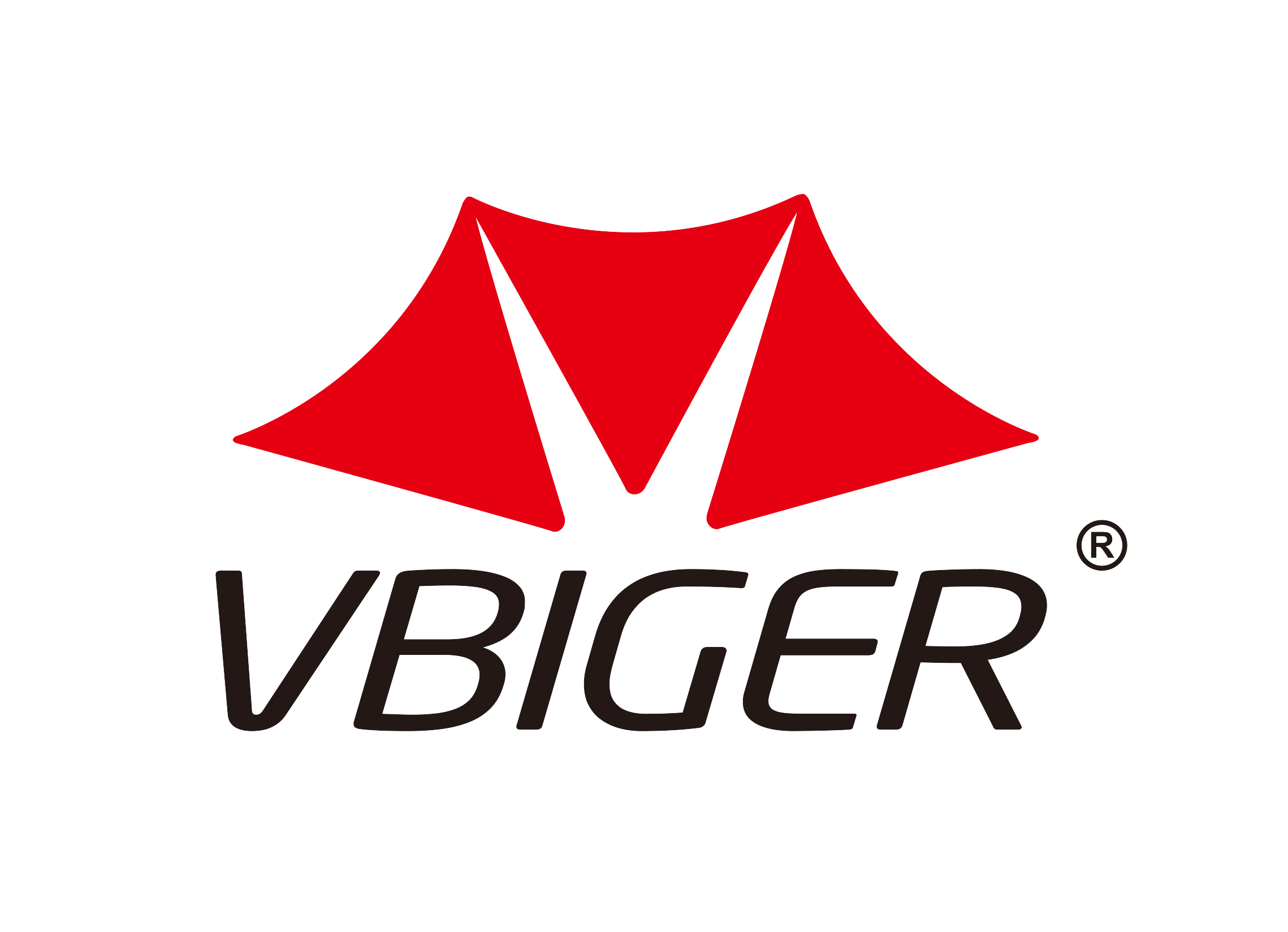 Vbiger Coupons