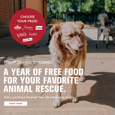 dog food supplies online