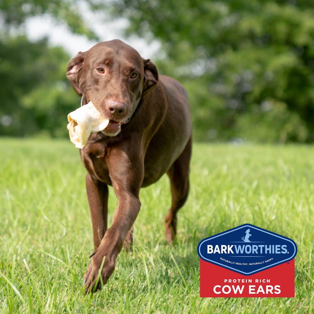 are cows ears healthy for dogs