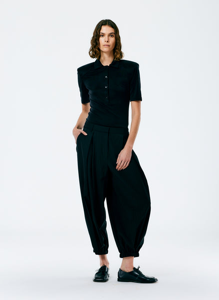 Dominic Pinstripe Eden Pleated Balloon Pant – Tibi Official